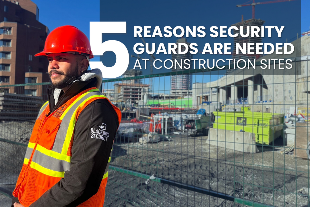 Blackbird Security construction site security