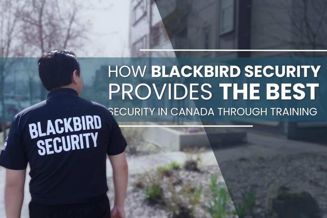 How Blackbird Security Provides the best security service in canada through advanced security guard training