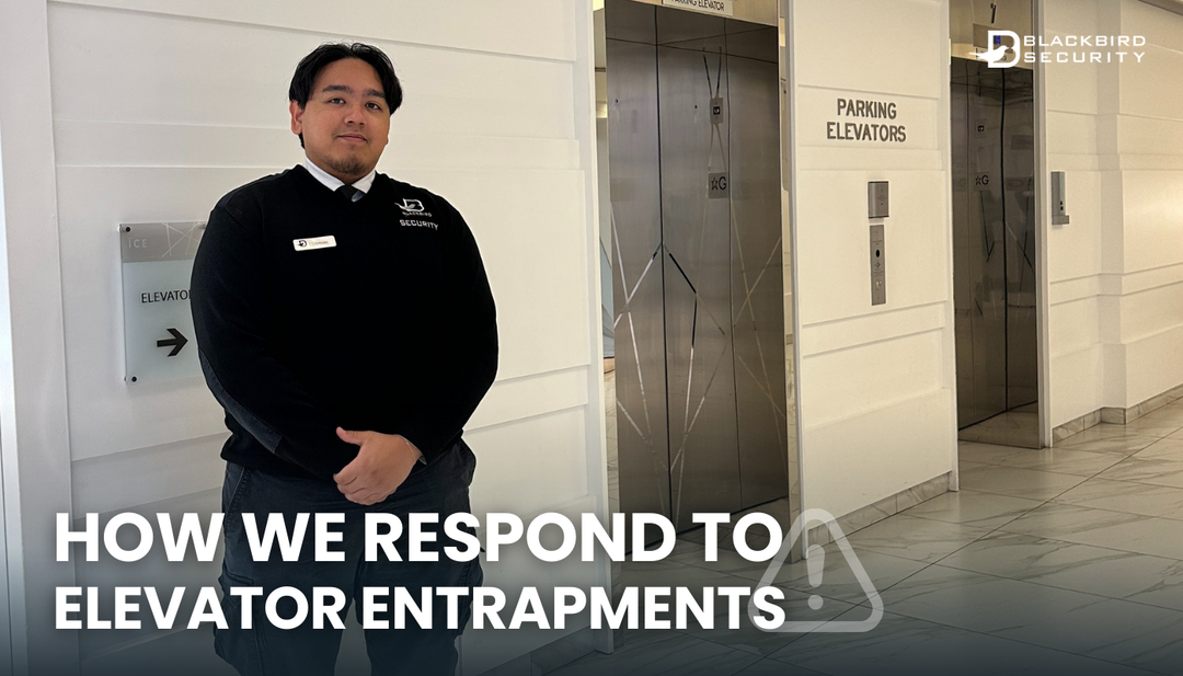 Blackbird Security condominium condo security guards