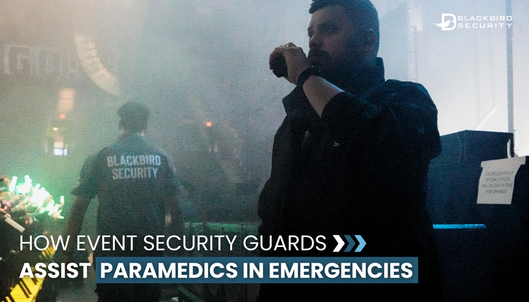 An event security guard at a concert stand in the foreground, speaking into a radio. In the background, a security guard walks away wearing a shirt with the Blackbird Security logo on the back.