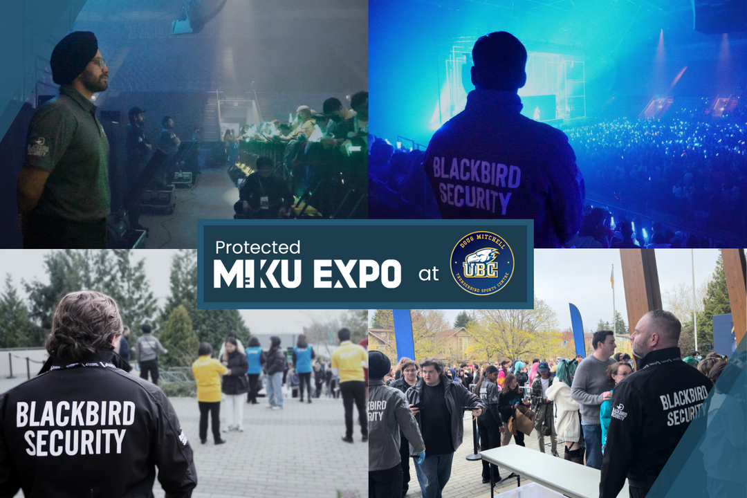 Blackbird Security event security in Vancouver at the UBC Thunderbird Stadium for Hatsune Miku Expo 2024