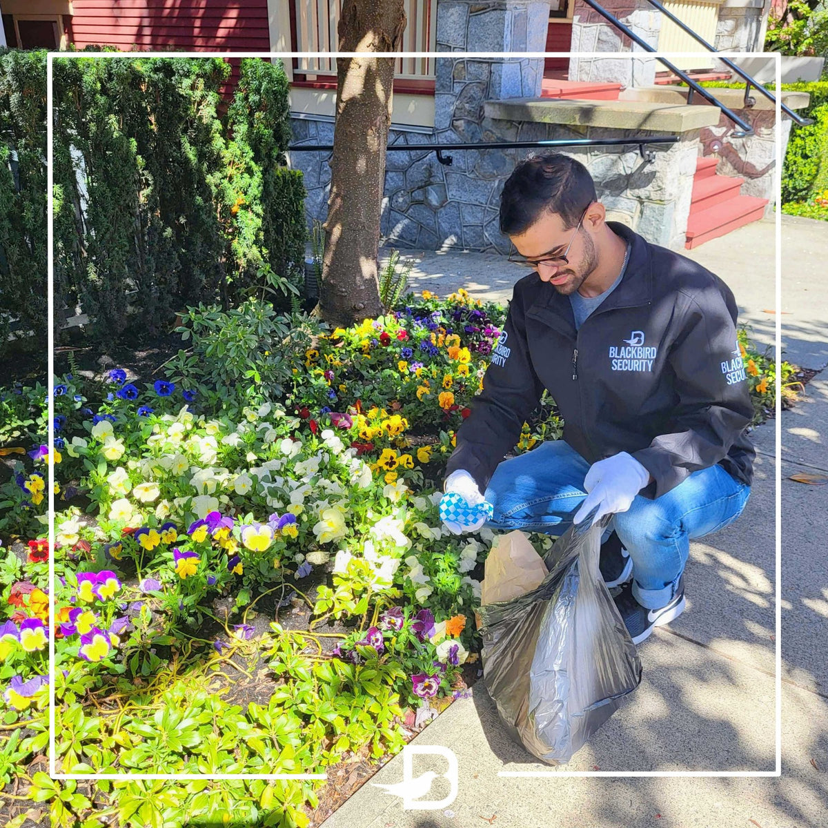 Blackbird security guard picking up trash in flower beds