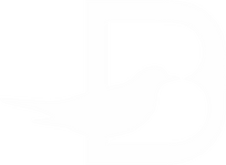 Blackbird Security logo