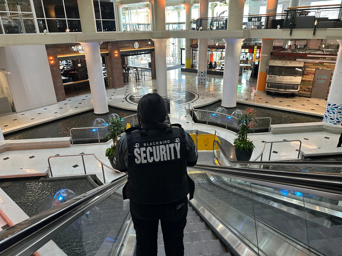 Blackbird security guard riding down escalator in shopping mall
