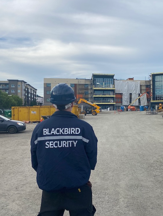 Uniformed Blackbird security guard standing in front of construction site