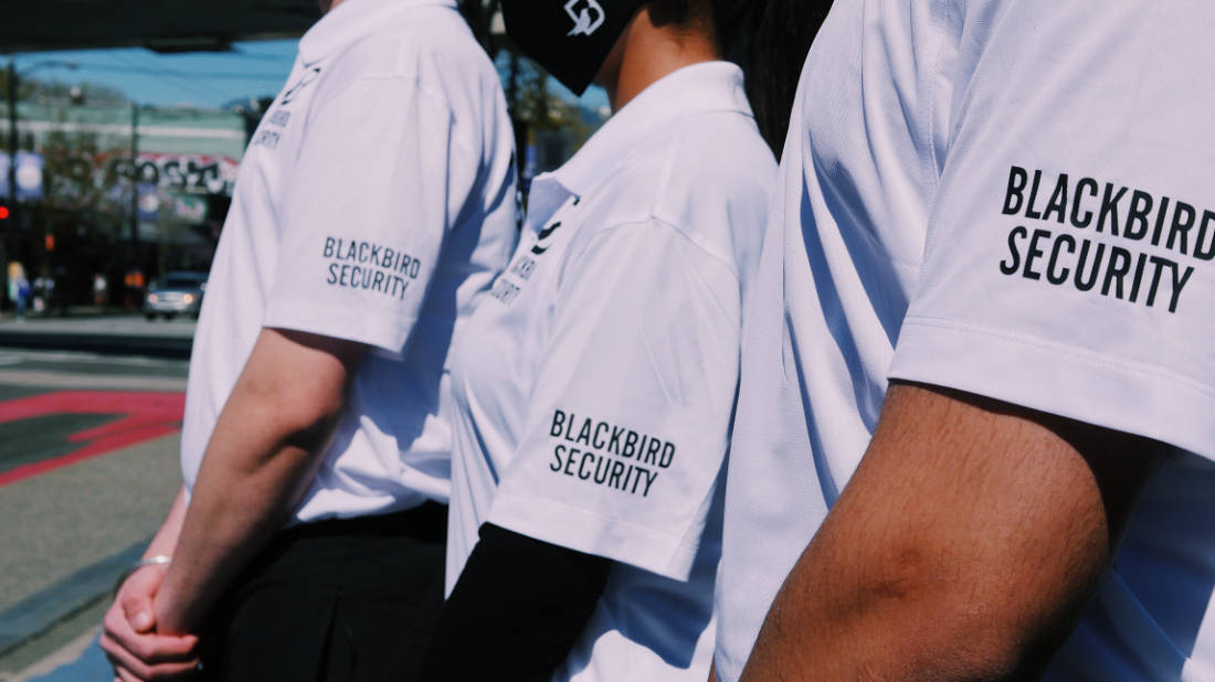 3 Uniformed Blackbird security guard in collared shirts
