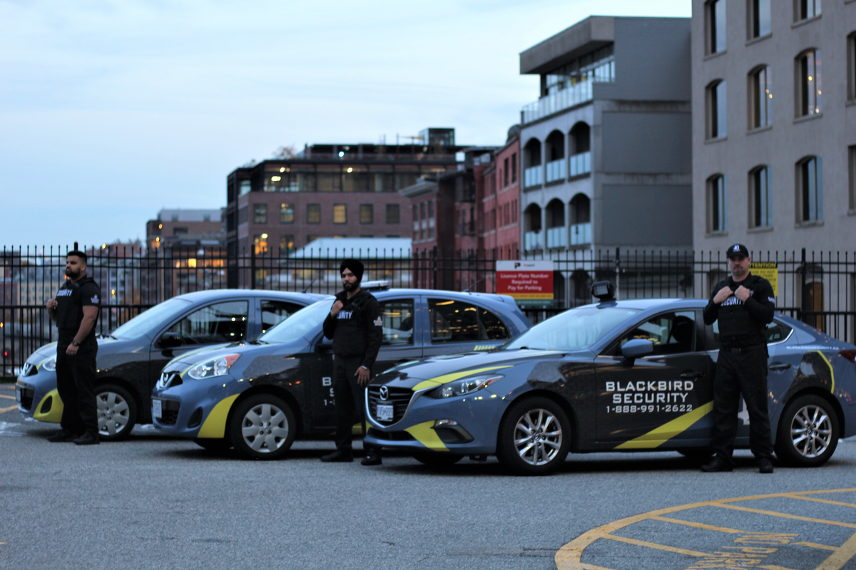 Three uniformed security guards from Blackbird Security standing by mobile patrol cars